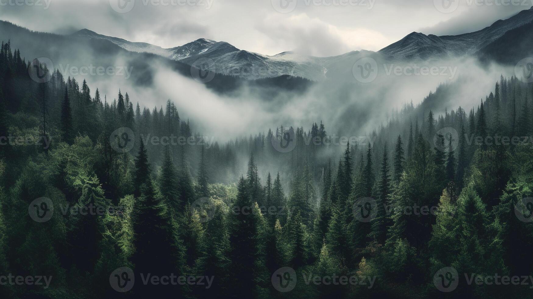 , Misty fir forest beautiful landscape in hipster vintage retro style, foggy mountains and trees photo