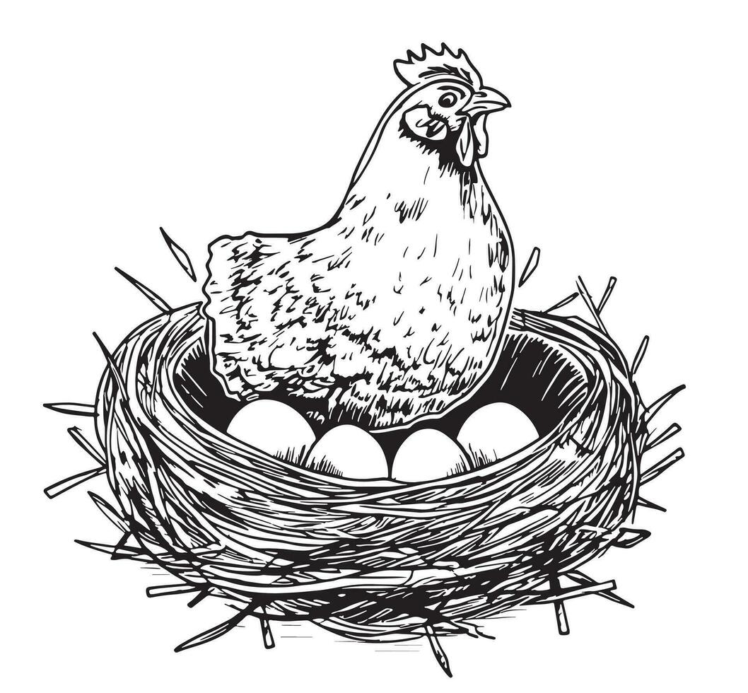 Hen laying eggs in the nest with eggs vector