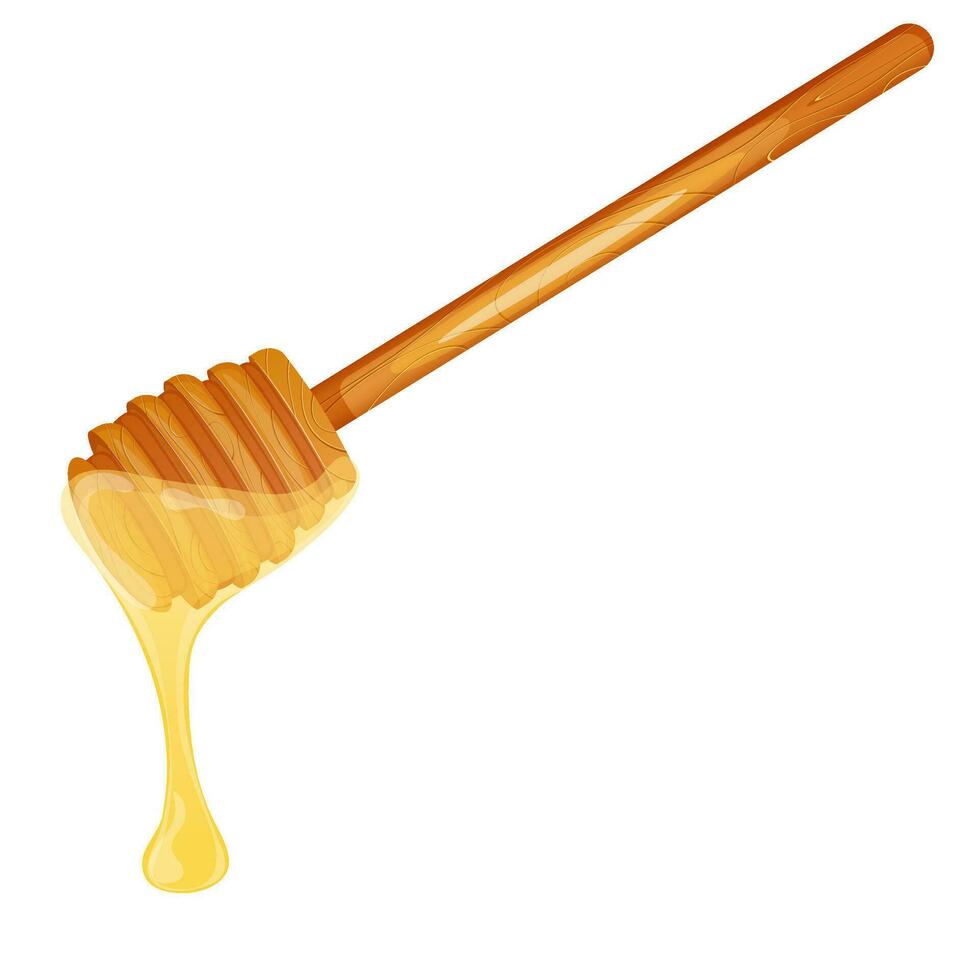 Honey dripping from wooden dipper vector