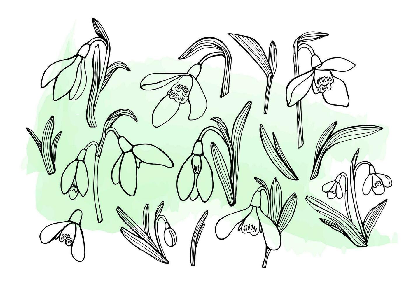 set of modern abstract graphic illustrations of flowers of snowdrops, leaves, for decorating cards or any design. vector design illustration