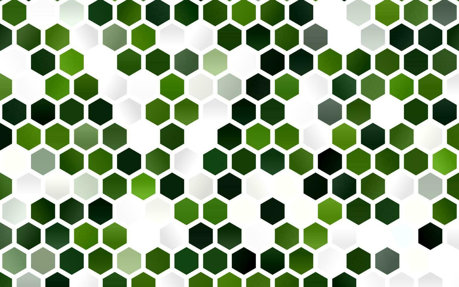 Light Green vector layout with hexagonal shapes.