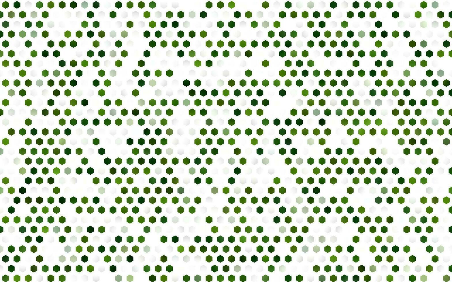 Light Green vector background with hexagons.