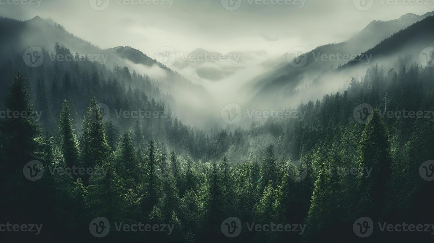 , Misty fir forest beautiful landscape in hipster vintage retro style, foggy mountains and trees photo
