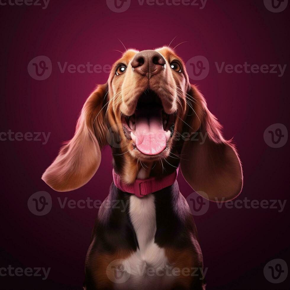 Generative AI, Portrait of a happy dog looking at the camera with mouth open on pink background photo