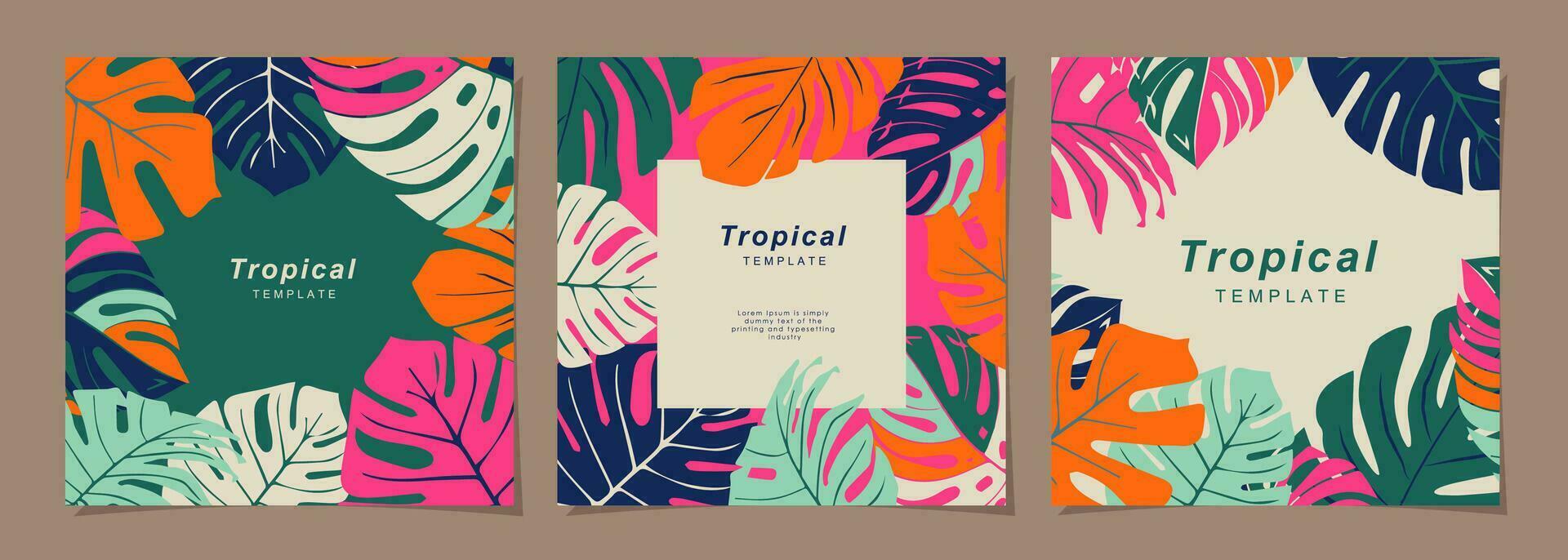 Summer template set for poster, card, cover, label, banner in modern minimalist style and simple summer design templates with tropical leaves, flower, and plants. vector