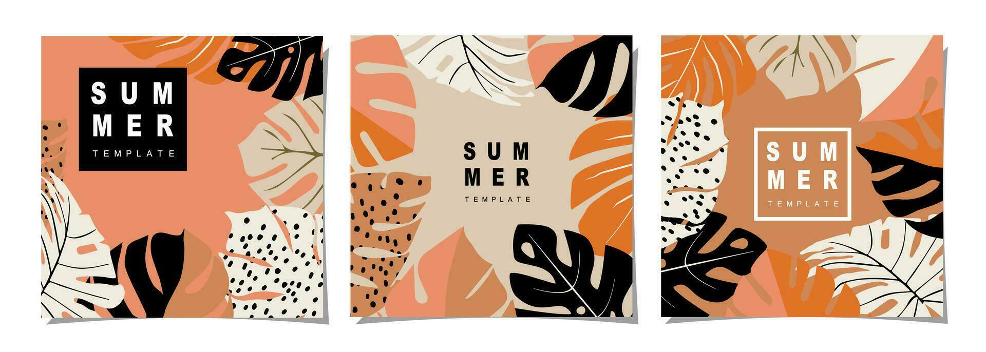 Summer template set for poster, card, cover, label, banner in modern minimalist style and simple summer design templates with tropical leaves, flower, and plants. vector