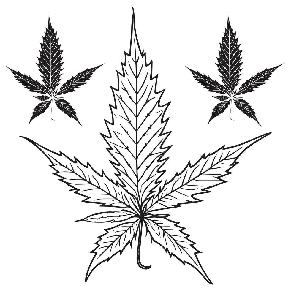 Cannabis leaf outline vector art
