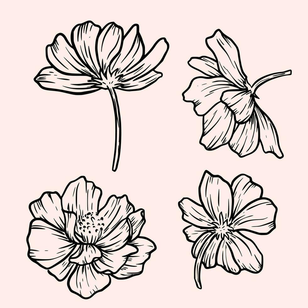 negro y blanco con línea Arte bosquejo floral botánica cosmos flor dibujos vector