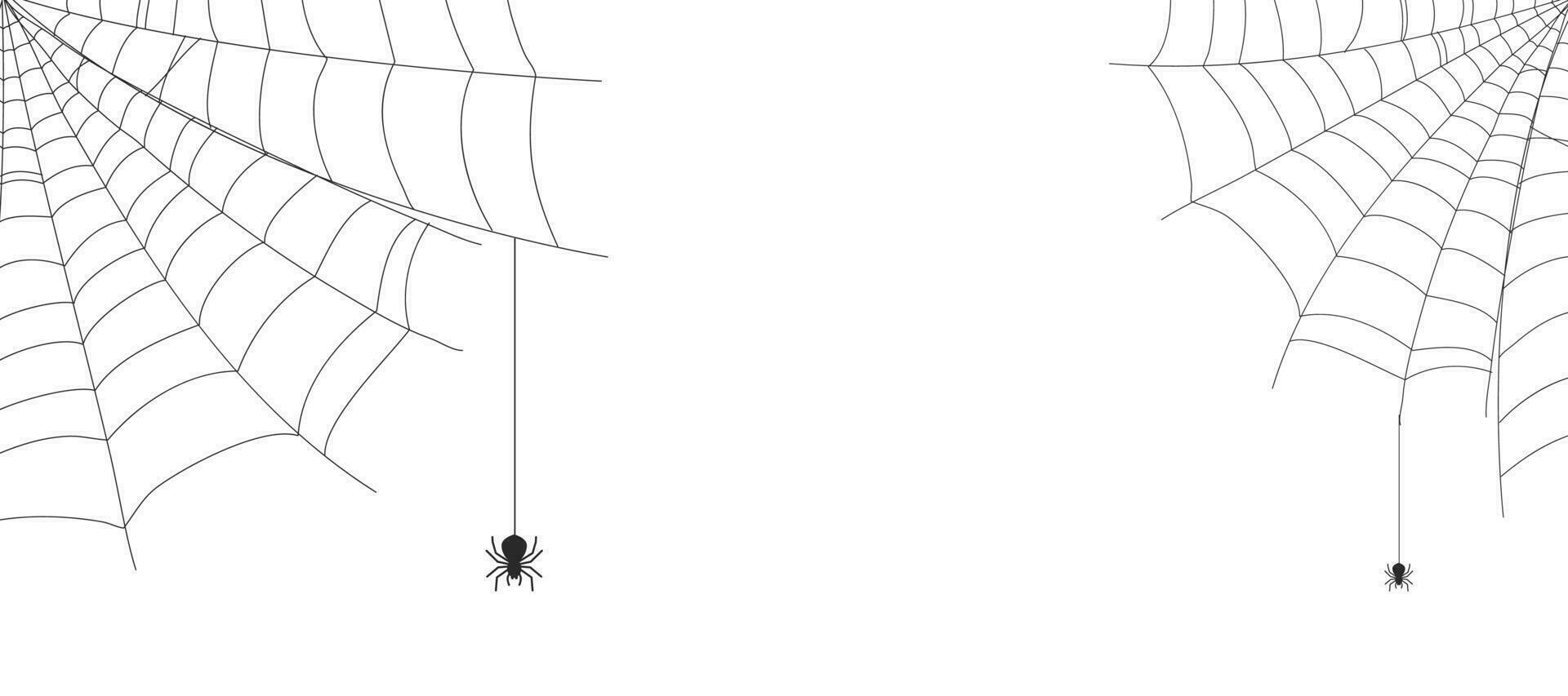 White Halloween banner with spiderweb and spiders and copy space for text. Vector background.