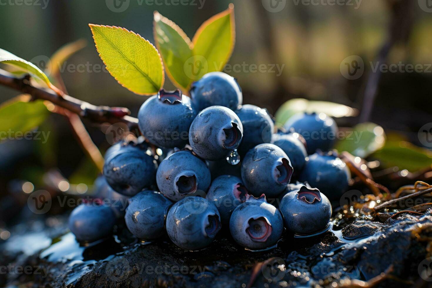 Blueberries in the forest. Generative AI photo