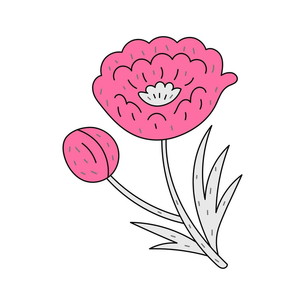 Pink peony doodle style vector