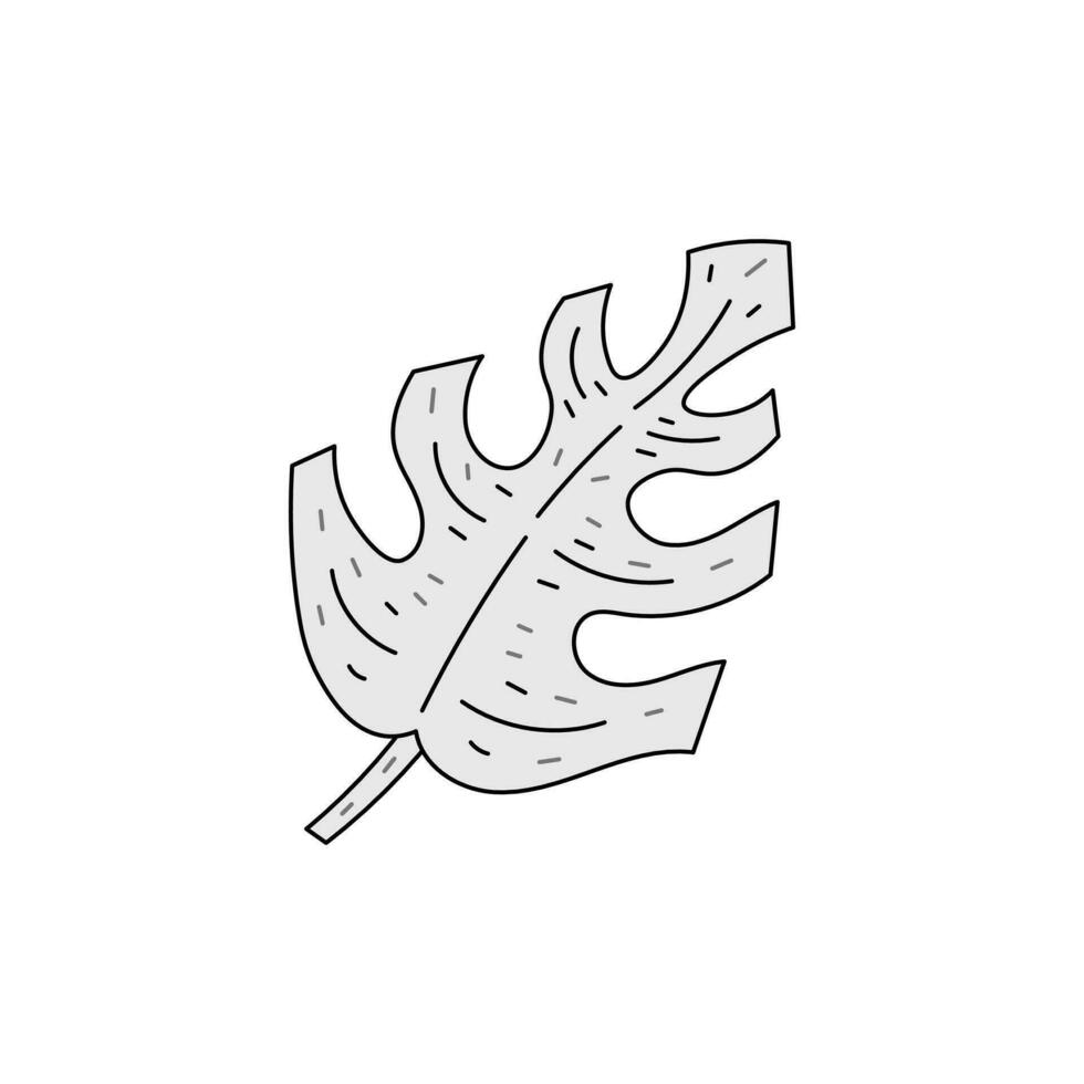 Monstera leaf in doodle style vector