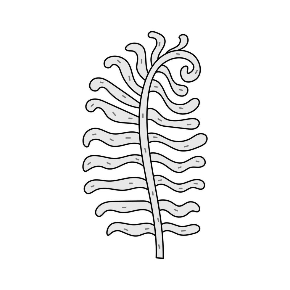 Wavy fern leaf doodle style vector