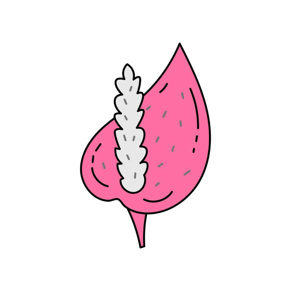 Pink Anthurium blossom doodle vector