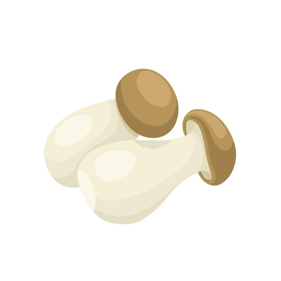 Vector illustration, king oyster mushroom or Pleurotus eryngii, isolated on white background.