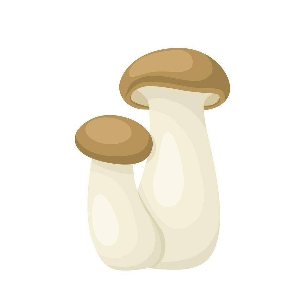 Vector illustration, king oyster mushroom or Pleurotus eryngii, isolated on white background.