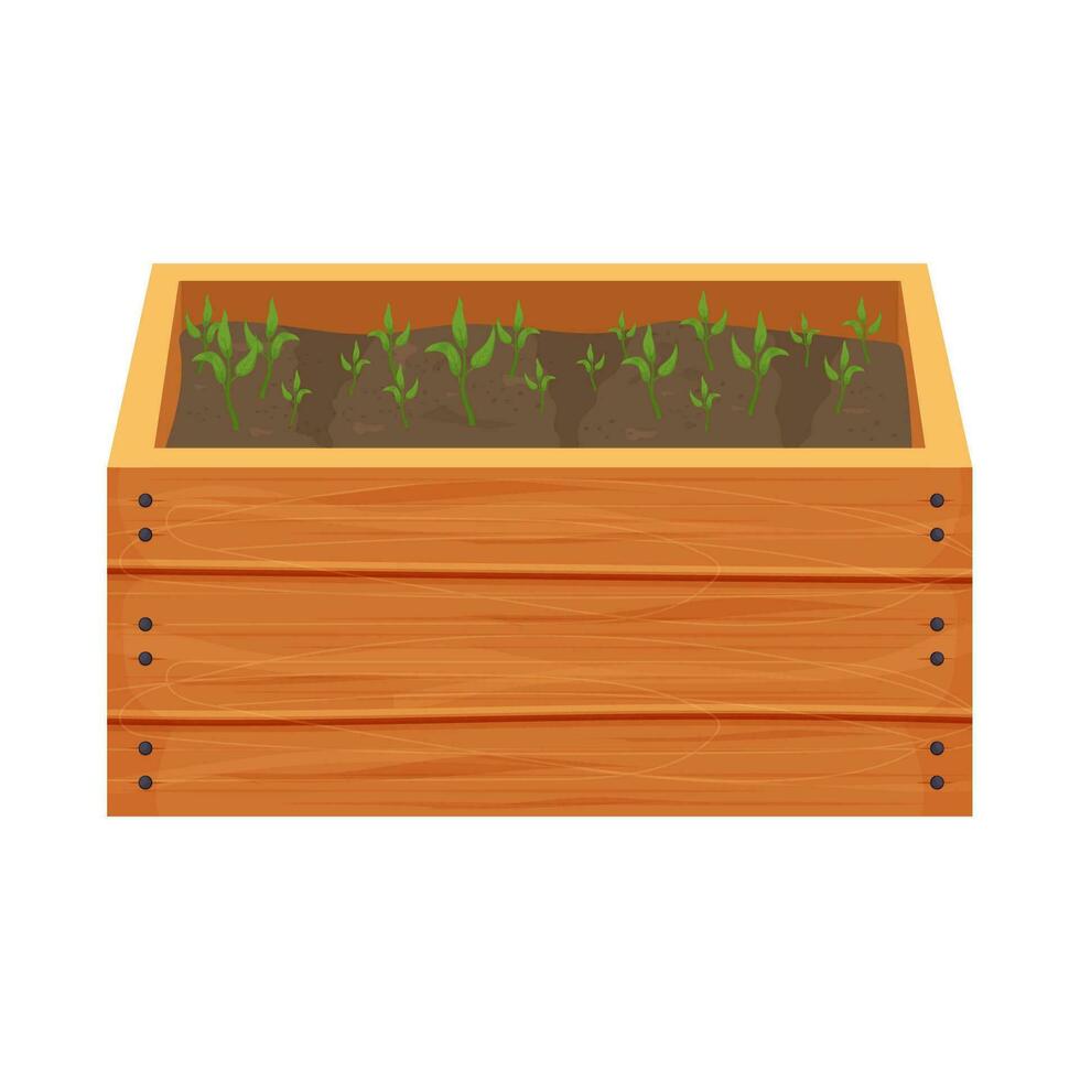 Wooden box, crate with soil, ground and greenery sprouts, seedling in cartoon style isolated on white background. Greenhouse, spring, agriculture concept. . Vector illustration