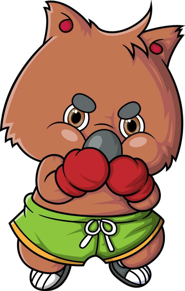 cartoon cute quokka character boxing on white background vector