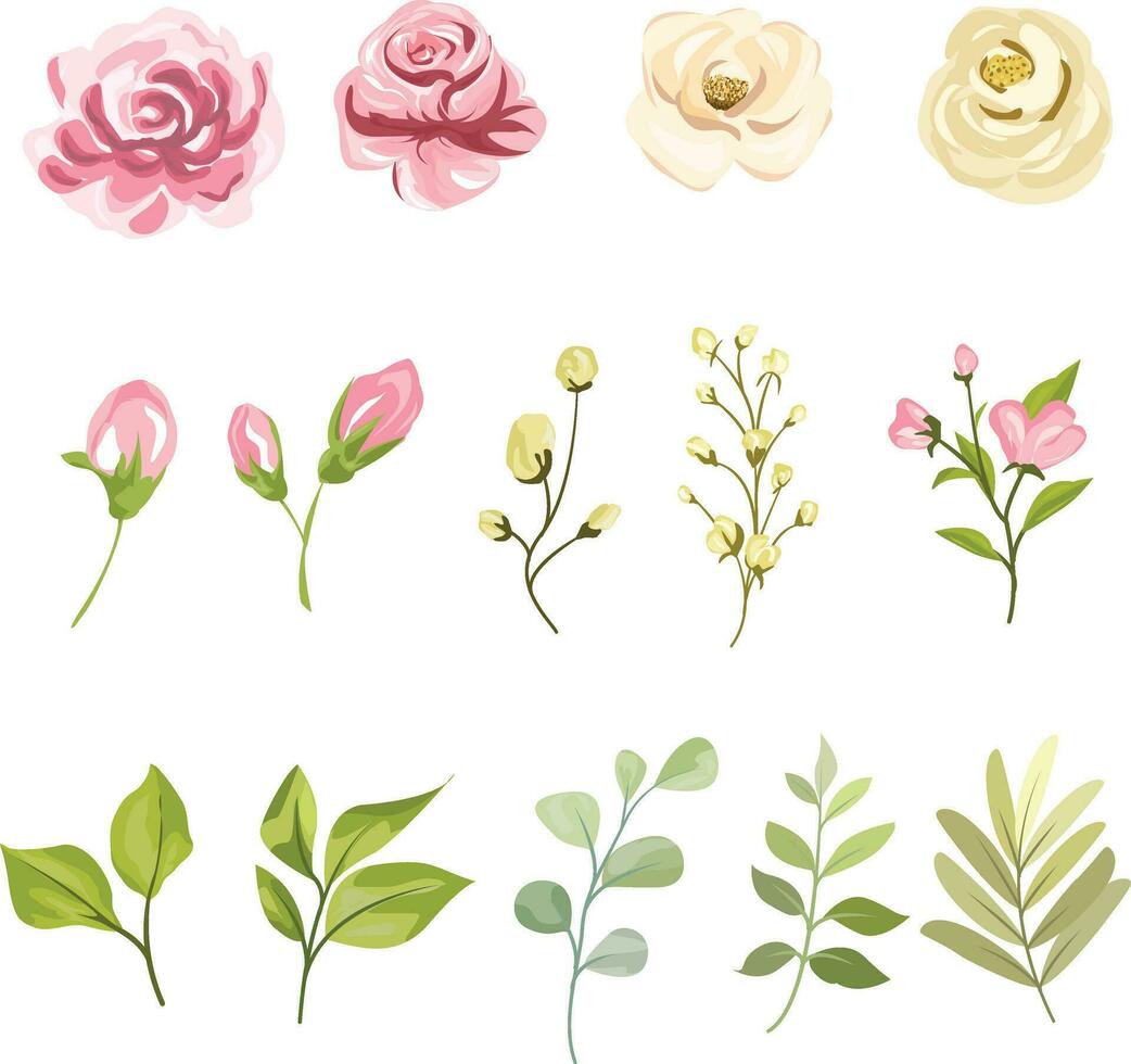 set of floral and leaf elements vector
