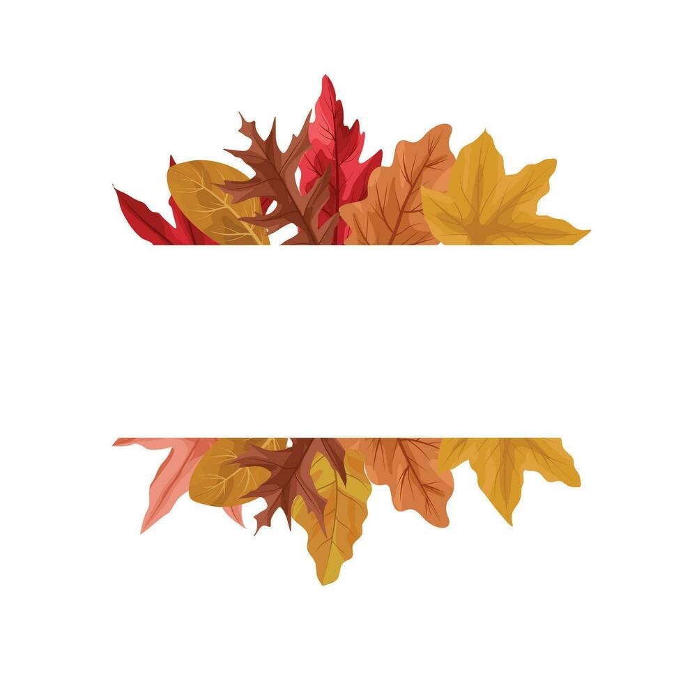 autumn frame with dry maple leaf decoration vector