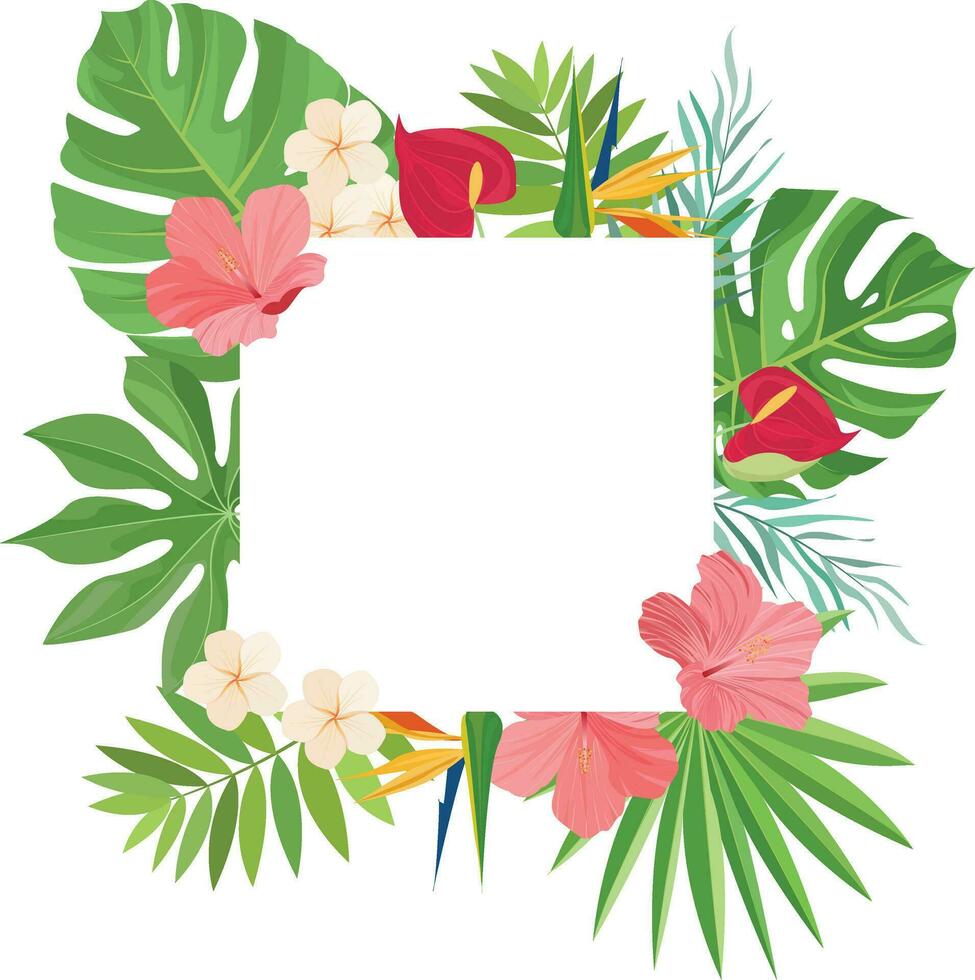 summer frame design with tropical leaves decoration vector