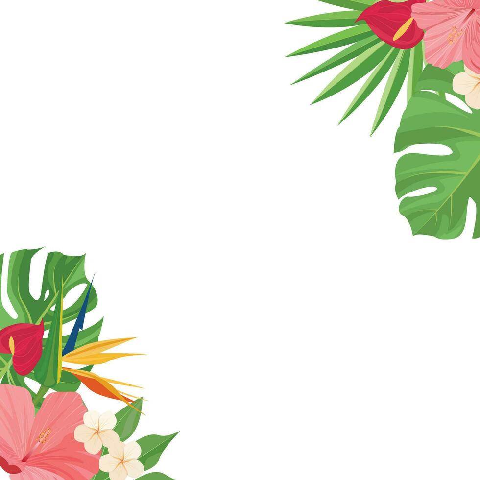 summer border design with tropical leaves decoration vector