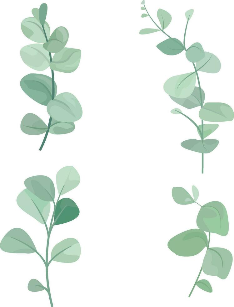 set of eucalyptus leaf elements vector