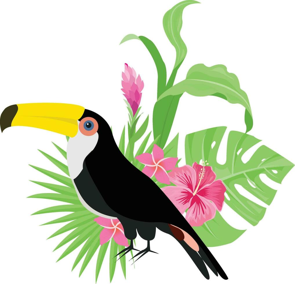 Summer design with tropical leaves decoration vector
