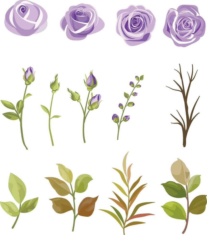 set of floral and leaf elements vector