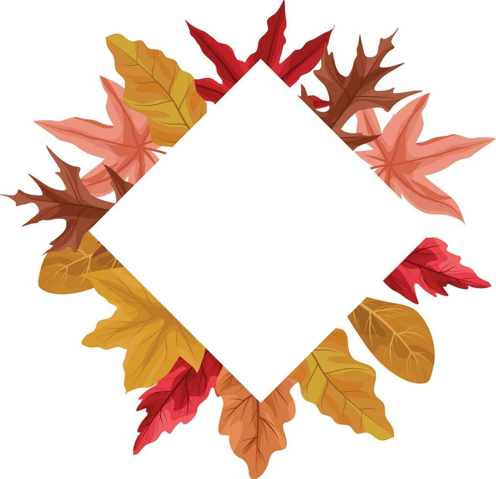 autumn frame with dry maple leaf decoration vector
