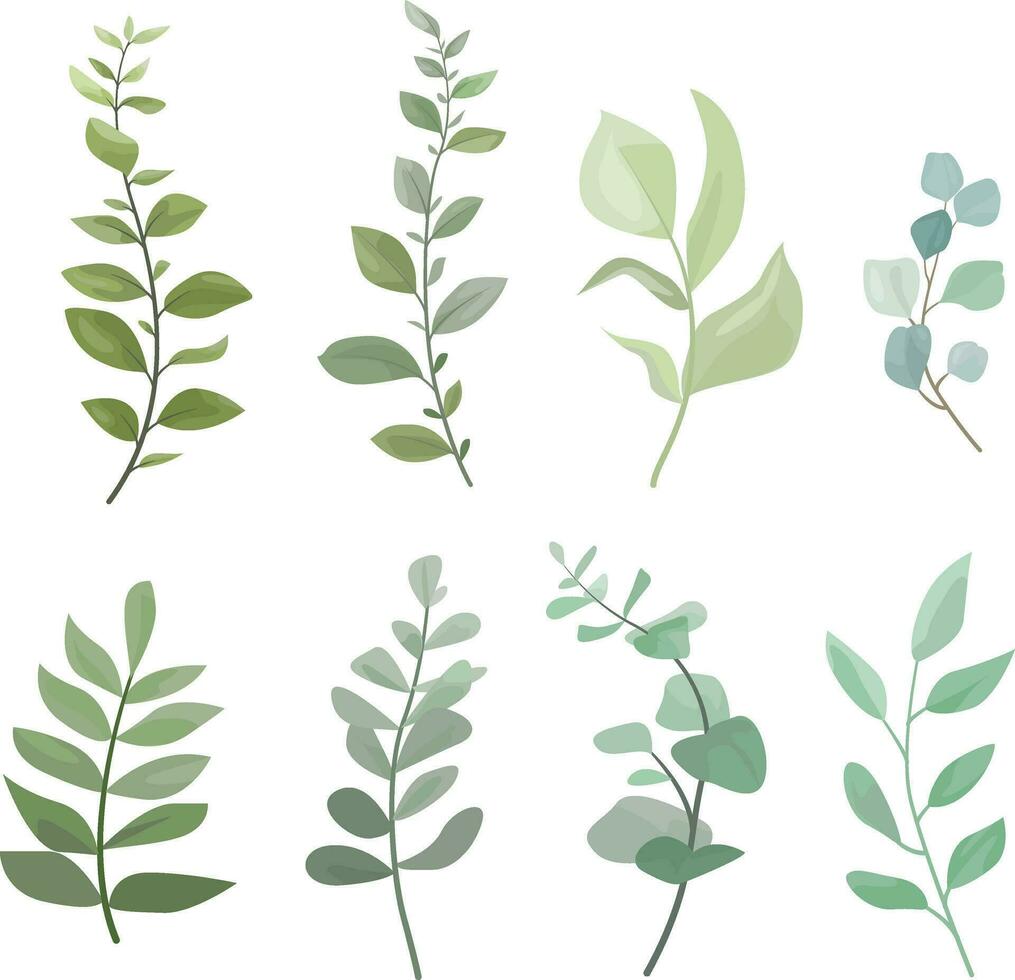 set of wild leaves elements vector