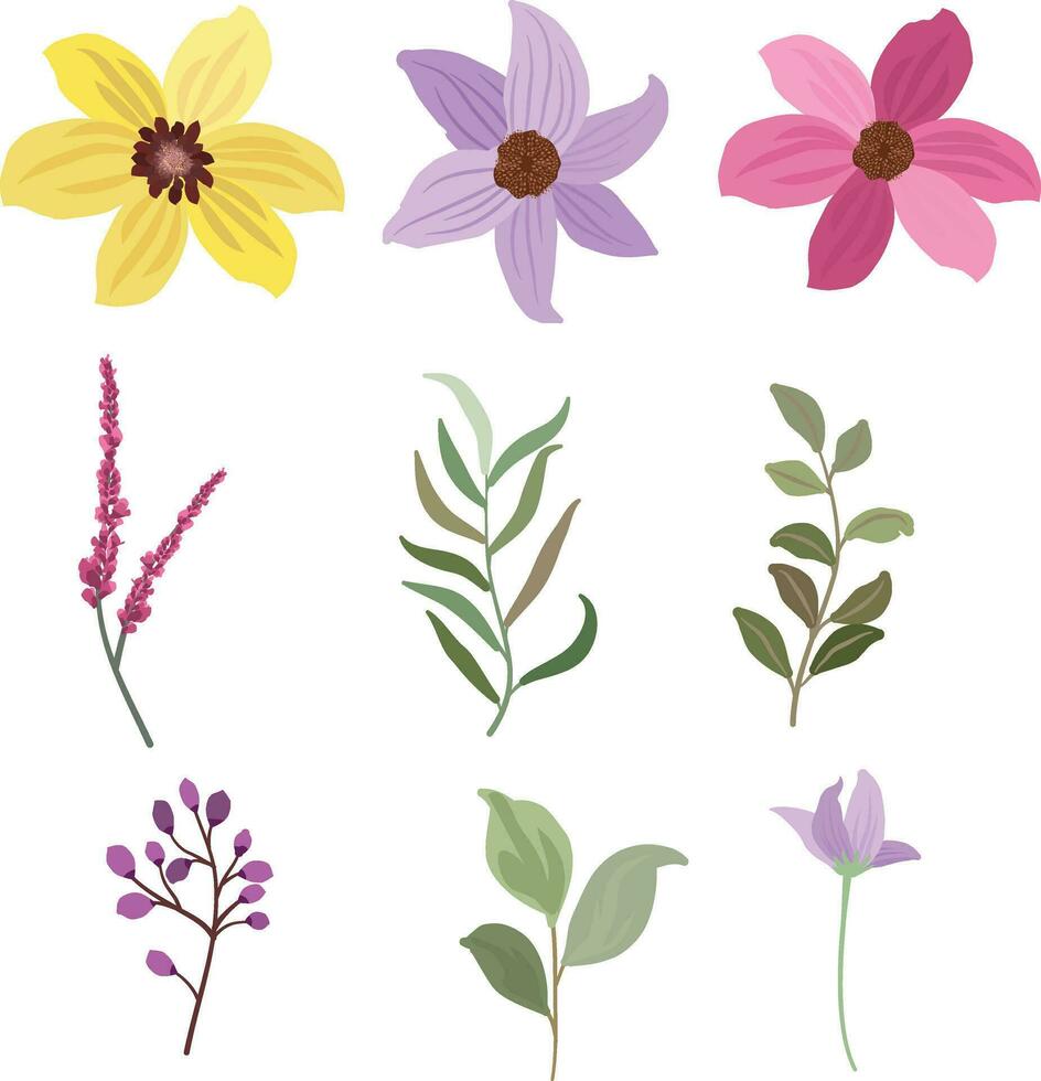 conjunto de floral y hoja elementos, hierba planta, flor silvestre planta colección vector