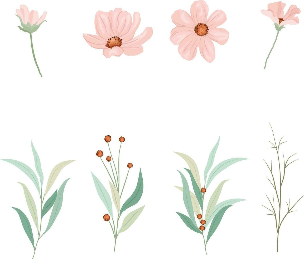 set of wild pink floral elements vector