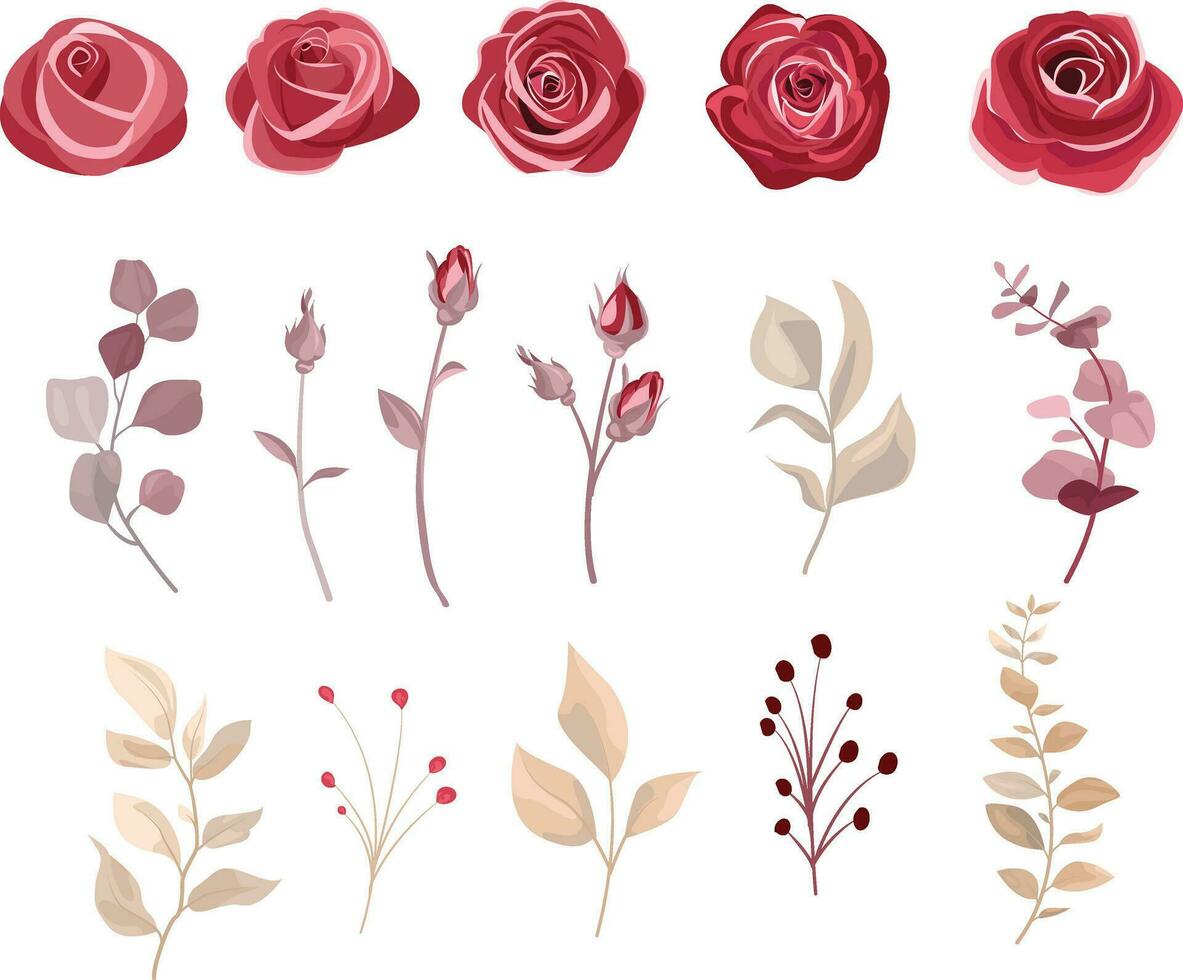 Set of floral branches. Maroon rose flower, leaves. Wedding concept with flowers. Flower poster, invite. Vector arrangement for greeting card or invitation design