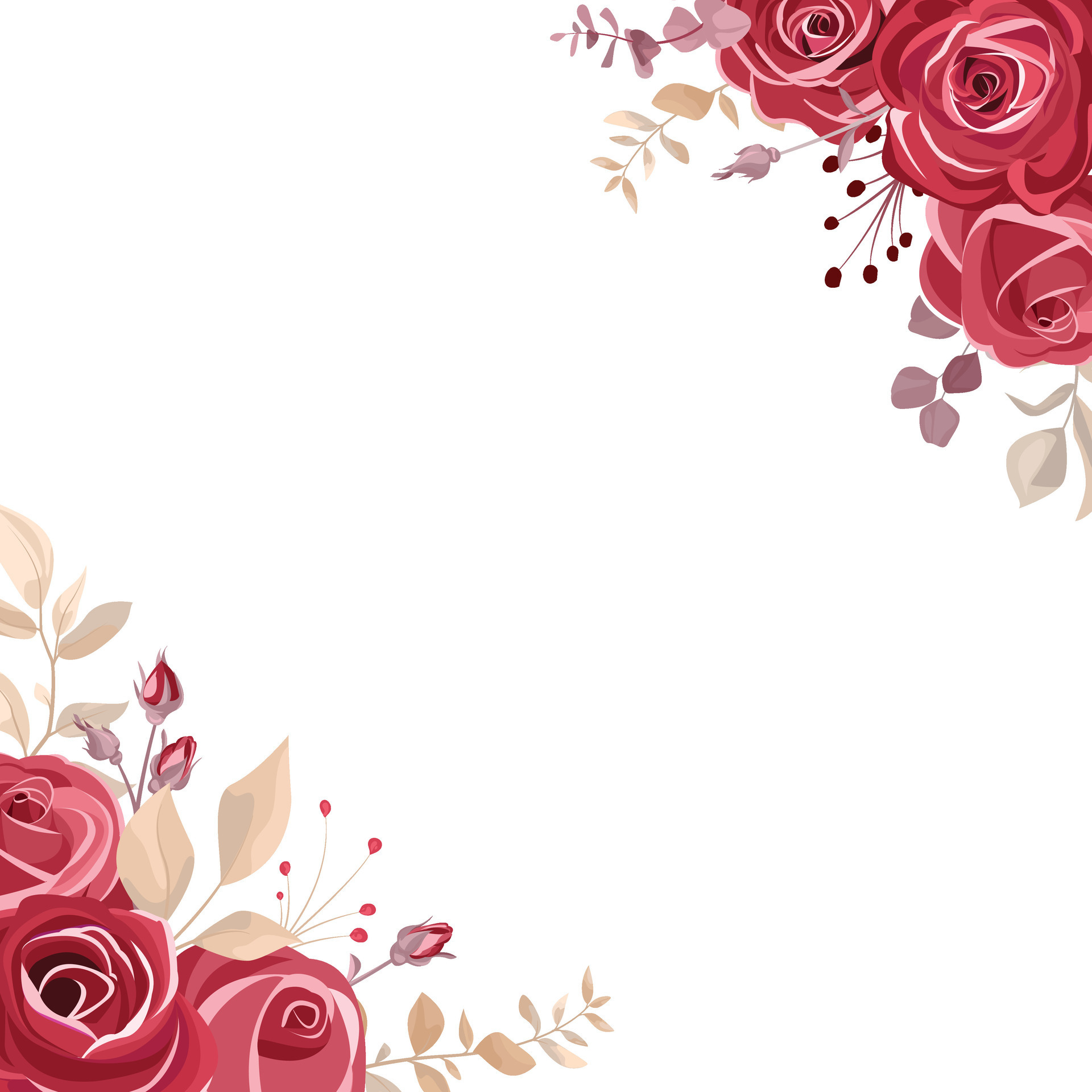 Bouquet of maroon rose flower border, on white background. Wedding
