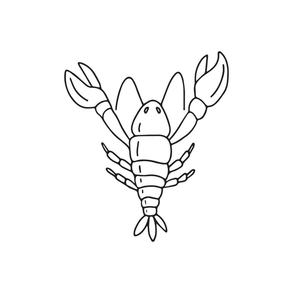 Hand drawn lobster vector illustration.