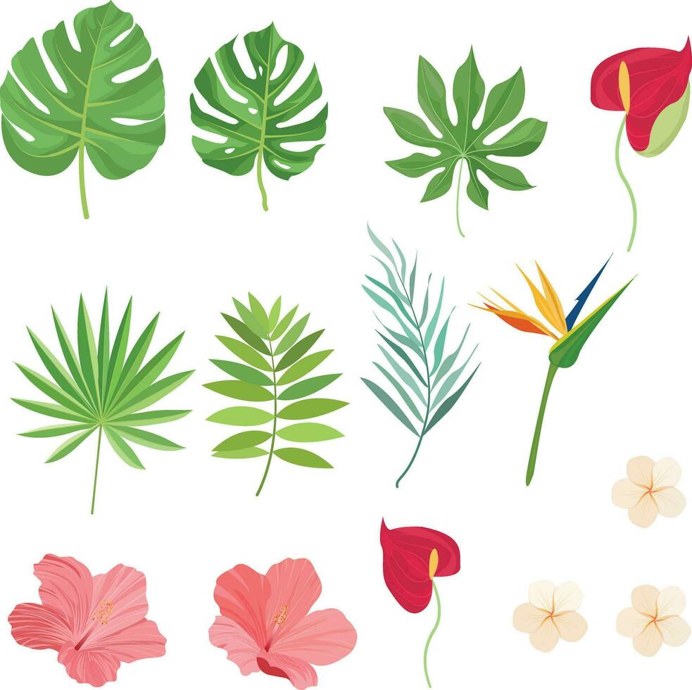 set of summer element designs with tropical leaves vector