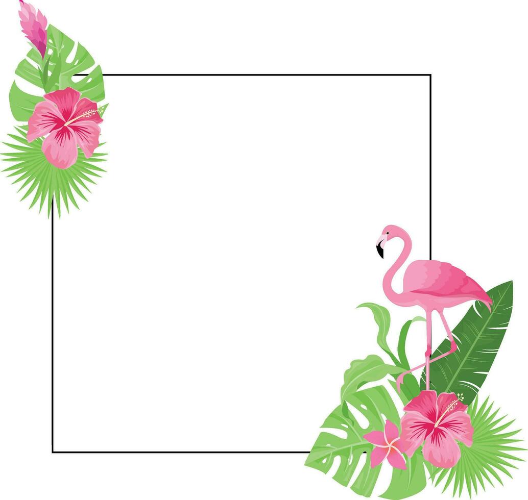 summer frame design with tropical leaves decoration vector