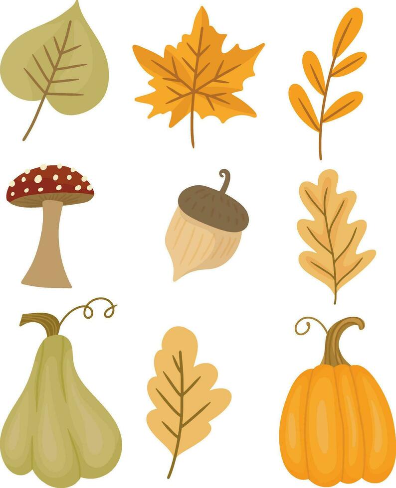 set of autumn elements with dry maple leaves, pinecones, mushrooms and pumpkins vector