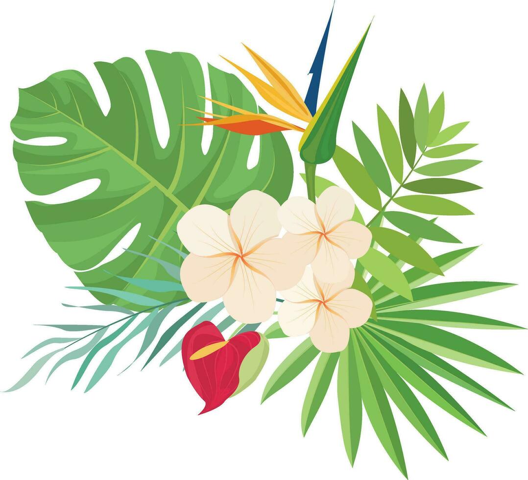 Summer design with tropical leaves decoration vector