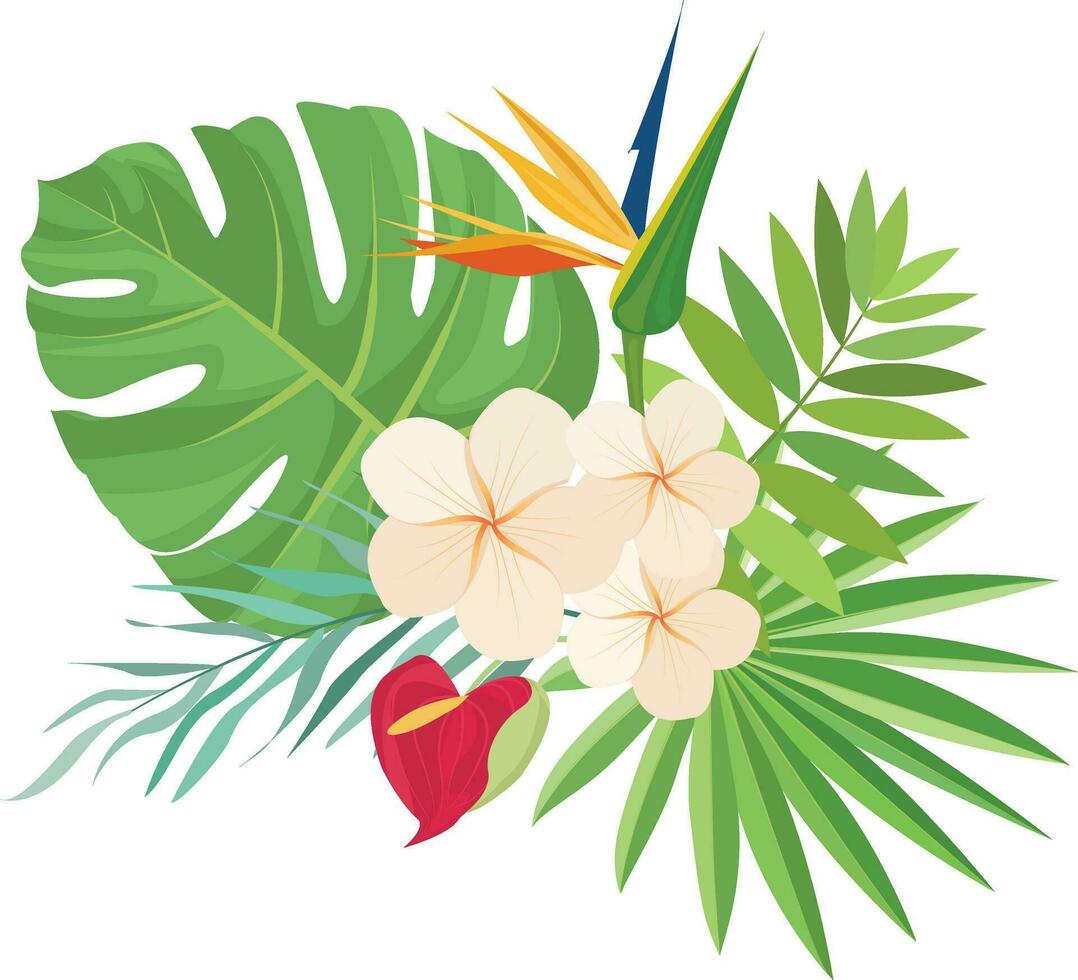 Summer design with tropical leaves decoration vector