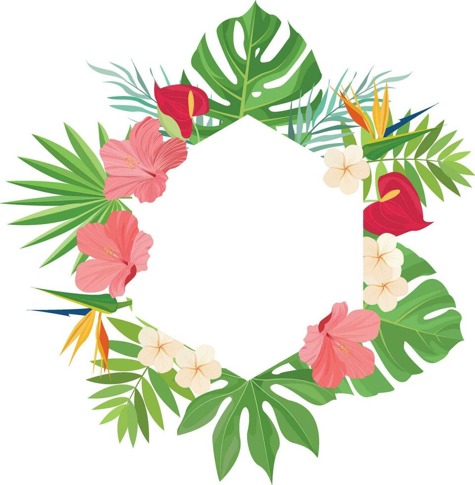 summer frame design with tropical leaves decoration vector