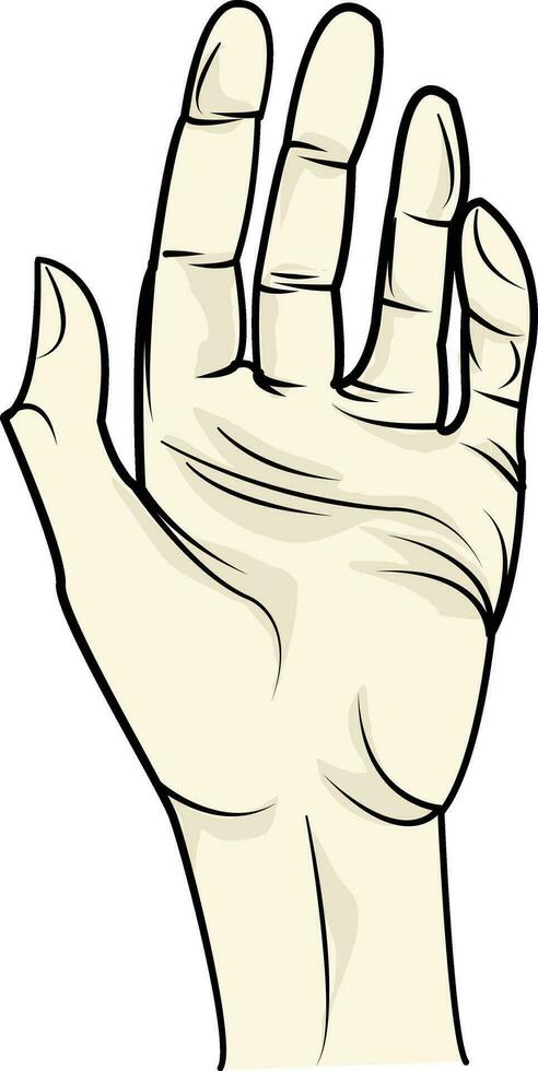 hand illustration, Hand clipart vector