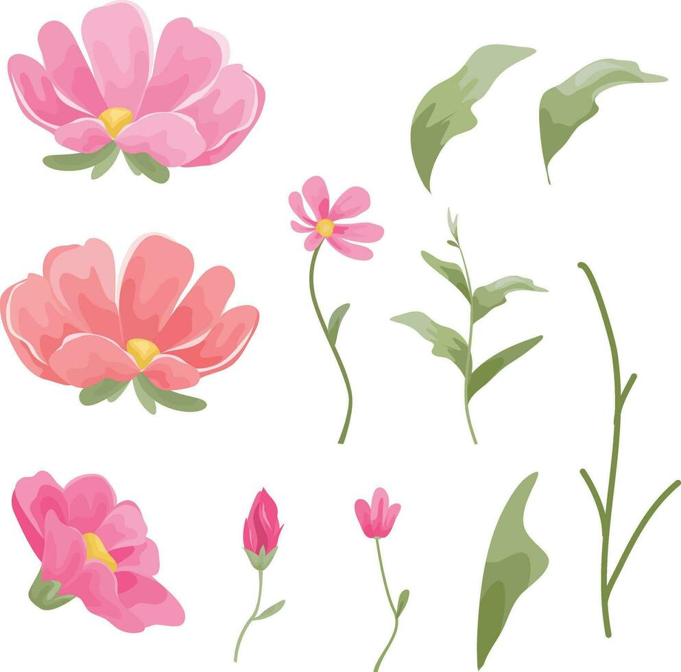 set of floral elements, flowers and leaves vector