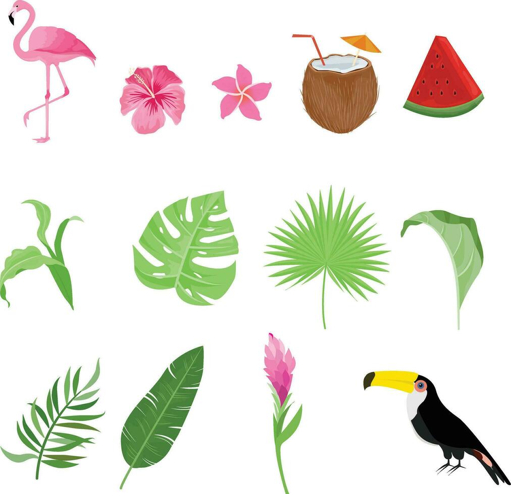 set of summer element designs with tropical leaves vector