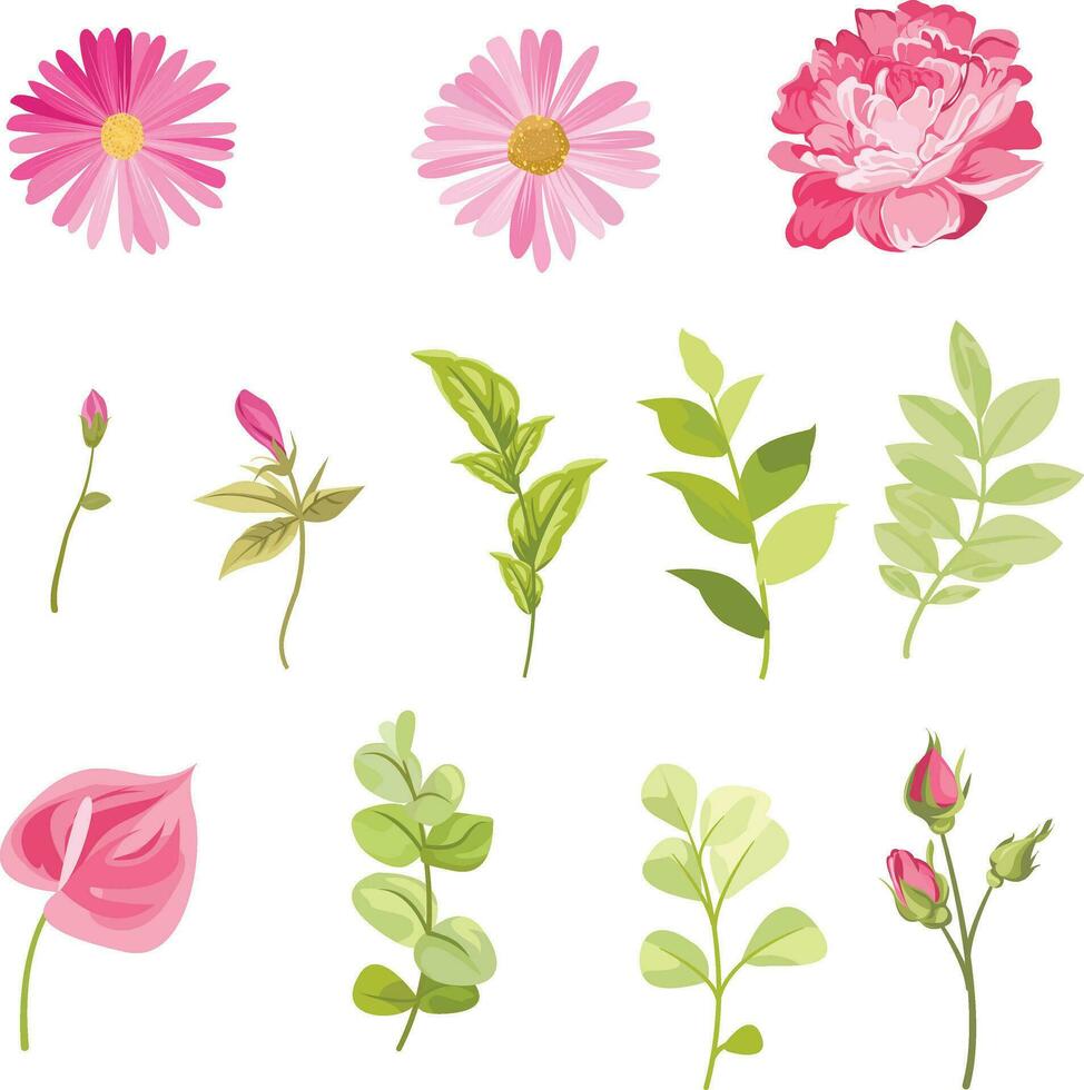 set of floral elements, flowers and leaves vector