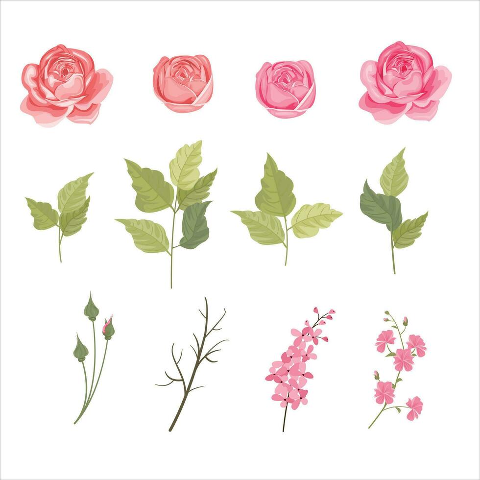 set of floral and leaf elements, peonies, rose flower elements vector