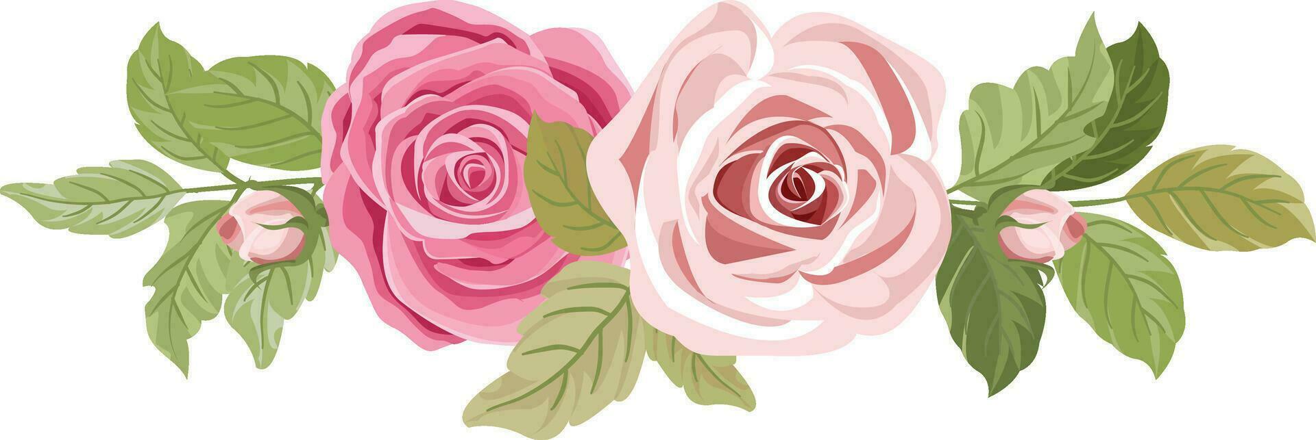 a bouquet with beautiful pink roses vector