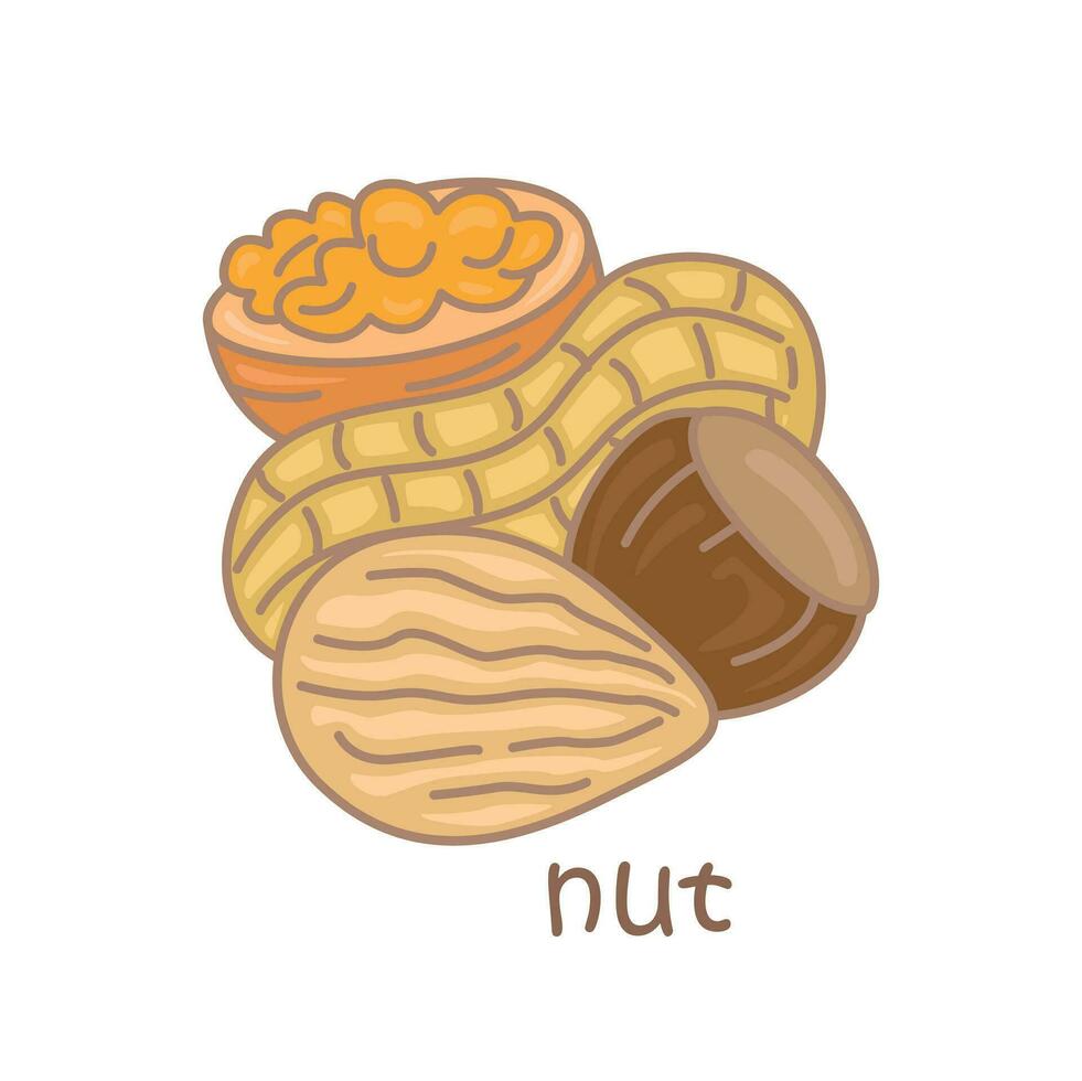 Alphabet N For Nut Vocabulary School Lesson Cartoon Illustration Vector Clipart Sticker
