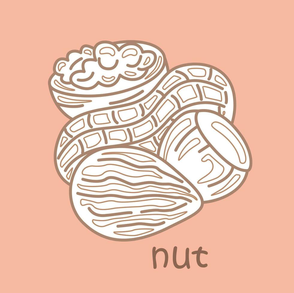 Alphabet N For Nut Vocabulary School Lesson Cartoon Digital Stamp Outline vector